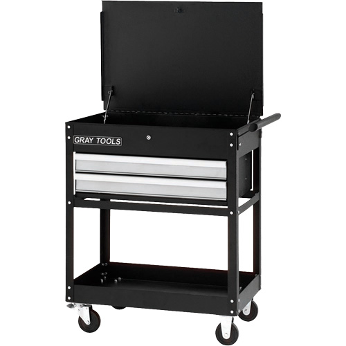 Chariot utilitaire, 2 tiroirs, 30-1/4" lo x 19" la x 35-3/4" h, Noir Moffatt Supply & Specialties