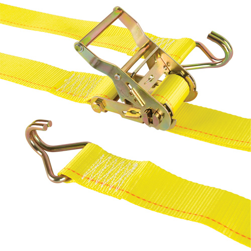 Tendeur d'arrimage logistique, Rochet, 2" la x 12' lo, Charge d'utilisation 500 lb (227 kg) Moffatt Supply & Specialties