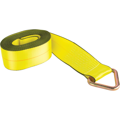 Logistic Strap, Delta Ring, 30' W x 4" L, 5400 lbs. (2449 kg) Working Load Limit Moffatt Supply & Specialties