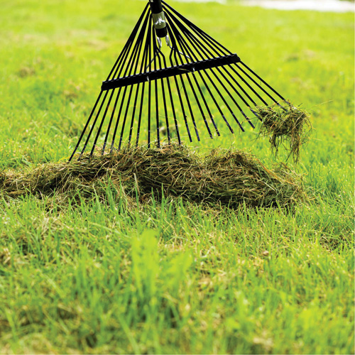 Lawn Rake, 24 Tines, Hardwood Handle, Steel Blade Moffatt Supply & Specialties