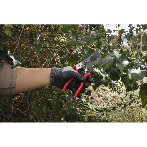 1” Angled Pruning Shears Moffatt Supply & Specialties