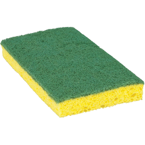 Scotch-Brite Medium Duty Scrub Sponge, Scrubbing, 3-3/5" W x 6-1/10" L Moffatt Supply & Specialties