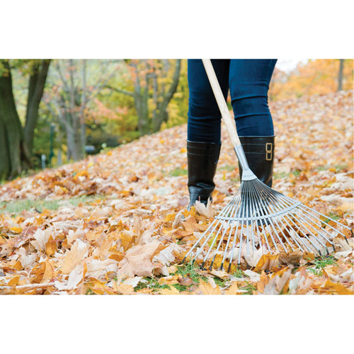 Pro Fan Rake, 24" Blade, 22 Tines, Hardwood Handle, Steel Blade Moffatt Supply & Specialties