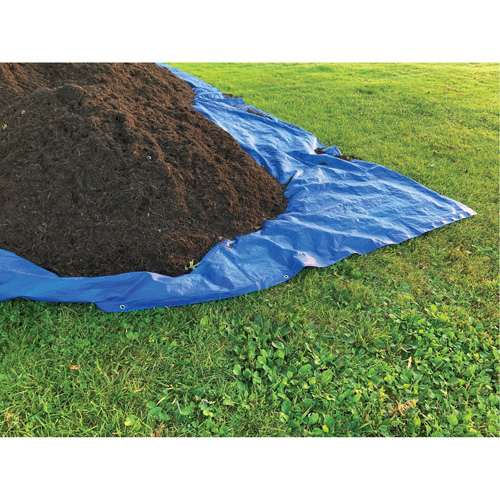B&acirc;che, Standard, Bleu, 7' x 5' x 4 mils Moffatt Supply & Specialties