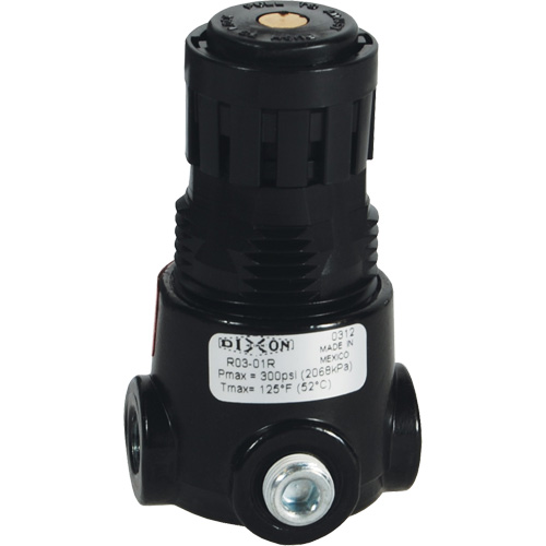 R&eacute;gulateur miniature R03 Wilkerson, 1/4" NPT, PSI max. de 300 psi, Standard Moffatt Supply & Specialties