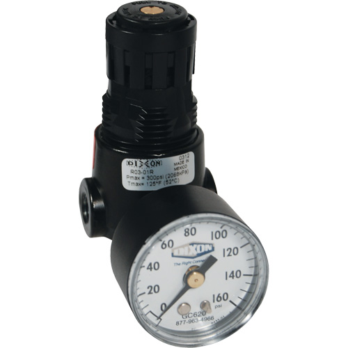 Wilkerson Miniature Regulator R04, 1/4" NPT, 300 psi Max. PSI, Standard Moffatt Supply & Specialties