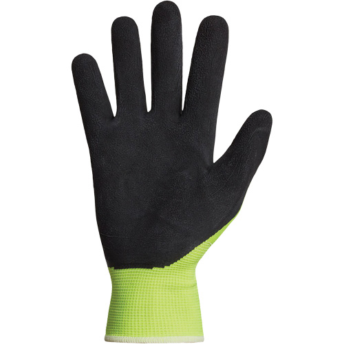 Dexterity&reg; Coated Gloves, 10, Latex Coating, 13 Gauge, Polyester Shell Moffatt Supply & Specialties