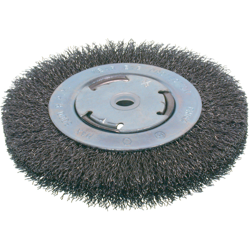 Economy Crimped Wire Wheel Brushes - Medium Face, 8" Dia., 0.008 Fill, 2" Arbor Moffatt Supply & Specialties