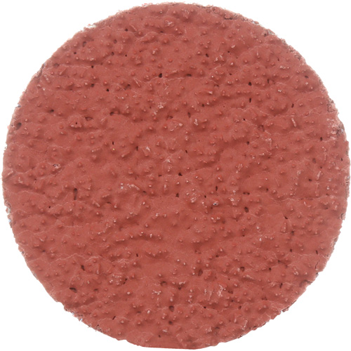Disque &agrave; d&eacute;ligner durable II Roloc Cubitron, 2" dia., Grain 36+, C&eacute;ramique Moffatt Supply & Specialties