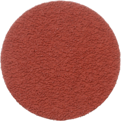 Disque &agrave; d&eacute;ligner durable II Roloc Cubitron, 2" dia., Grain 60+, C&eacute;ramique Moffatt Supply & Specialties