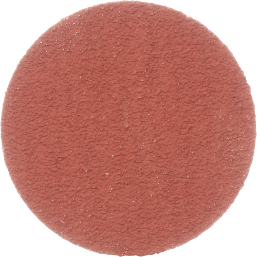 Disque &agrave; d&eacute;ligner durable II Roloc Cubitron, 2" dia., Grain 80+, C&eacute;ramique Moffatt Supply & Specialties