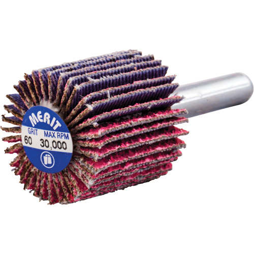 Mini-meule &agrave; lamelles mont&eacute;e sur tige, C&eacute;ramique d'alumine, Grain 60, 1" x 1" x 1/4" Moffatt Supply & Specialties