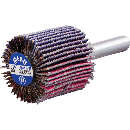Mini-meule &agrave; lamelles mont&eacute;e sur tige, C&eacute;ramique d'alumine, Grain 80, 1" x 1" x 1/4" Moffatt Supply & Specialties