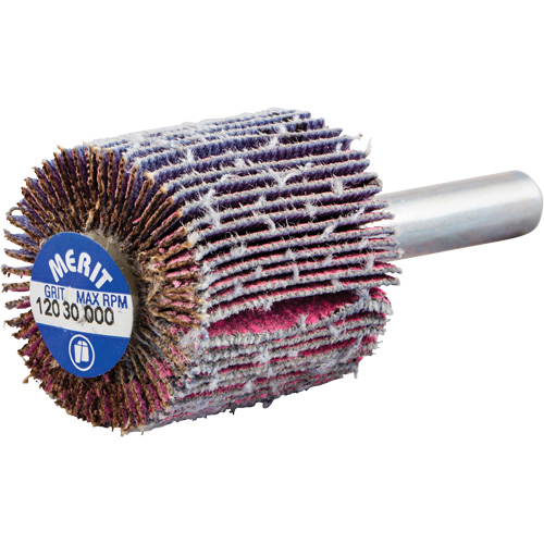 Mini-meule &agrave; lamelles mont&eacute;e sur tige, C&eacute;ramique d'alumine, Grain 120, 1" x 1" x 1/4" Moffatt Supply & Specialties