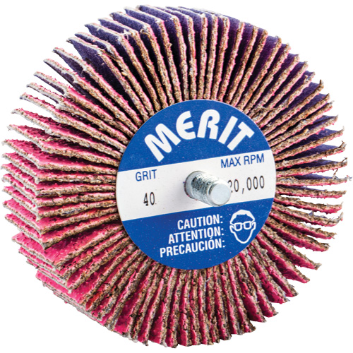 Mini-meule &agrave; lamelles filet&eacute;es, C&eacute;ramique d'alumine, Grain 40, 3" x 1" x 1/4"-20 Moffatt Supply & Specialties