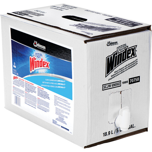 Windex&reg; Glass Cleaner with Ammonia-D&reg;, 5 gal., Bag Moffatt Supply & Specialties