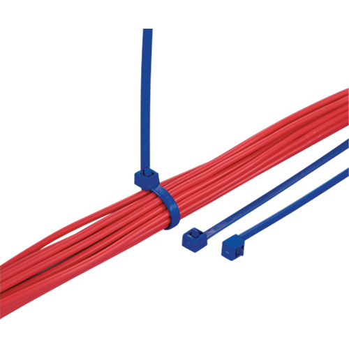 Metal Detectable Cable Ties, 5-9/10" L, 30 lbs. Tensile Strength Moffatt Supply & Specialties