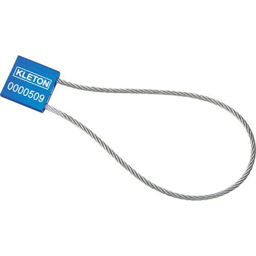 Scell&eacute;s de haute s&eacute;curit&eacute;, 12", M&eacute;tal, Scell&eacute; &agrave; c&acirc;ble Moffatt Supply & Specialties