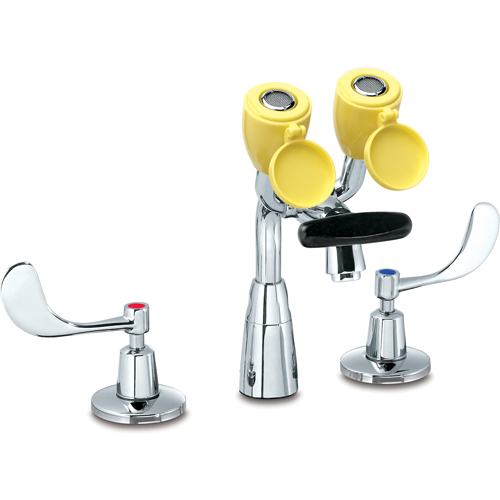 Faucet & Eyewash Station, Sink Mount Installation Moffatt Supply & Specialties