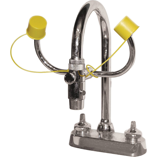Eyewash Station, Sink Mount Installation Moffatt Supply & Specialties