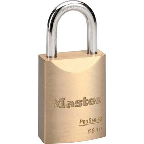 ProSeries&reg; Padlock, Silver, Keyed Different, Brass Coating, 1-9/16" Width Moffatt Supply & Specialties