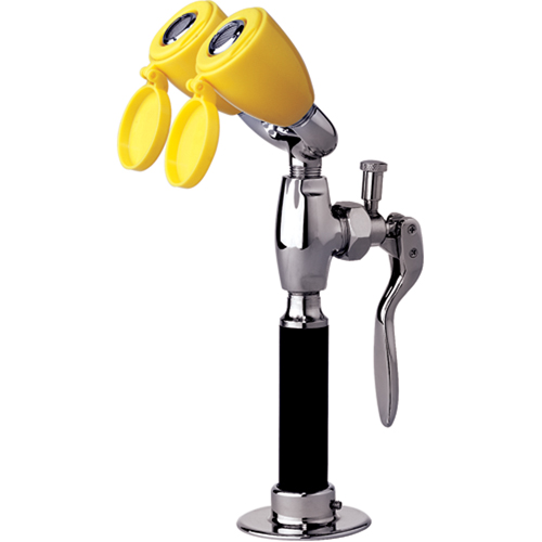 Tuyau de rinçage & douche oculaire, Installation Montage sur comptoir Moffatt Supply & Specialties