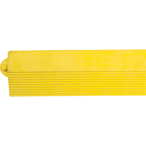 Border Ramp for Matting Moffatt Supply & Specialties