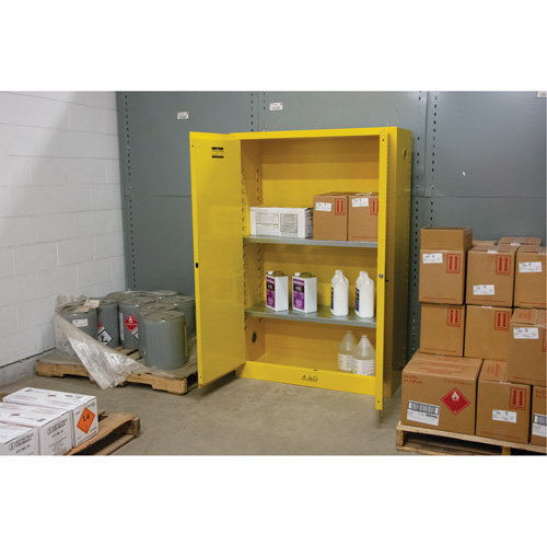 Armoire pour produits inflammables, 45 gal., 2 Porte(s), 43" La x 65" h x 18" p Moffatt Supply & Specialties