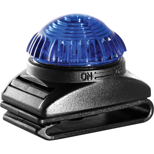 Guardian Warning Light, Continuous/Flashing, Blue Moffatt Supply & Specialties