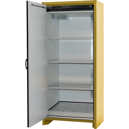 Armoire d'entreposage 30 minutes s&eacute;curitaire et conforme &agrave; la norme EN, 30 gal., 1 Porte(s), 34,02" La x 76,65" h x 24,21" p Moffatt Supply & Specialties