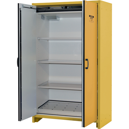 Armoire d'entreposage 30 minutes s&eacute;curitaire et conforme &agrave; la norme EN, 45 gal., 2 Porte(s), 45,83" La x 76,65" h x 24,21" p Moffatt Supply & Specialties