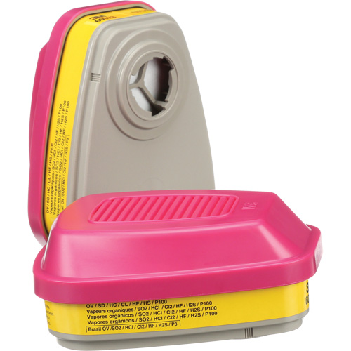 Cartouches pour respirateur s&eacute;rie 6000, Cartouche gaz/vapeur, Vapeurs organiques/Gaz acides/P100 Moffatt Supply & Specialties