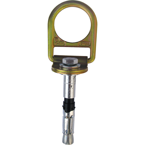 PRO Concrete D-ring Anchor with Bolt, Concrete/D-Ring, Permanent Use Moffatt Supply & Specialties