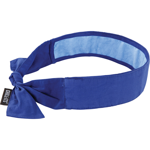 Chill-Its&reg; 6700CT Cooling Bandanas, Blue Moffatt Supply & Specialties