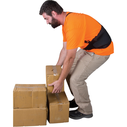 Back Support, Elastic, Small Moffatt Supply & Specialties