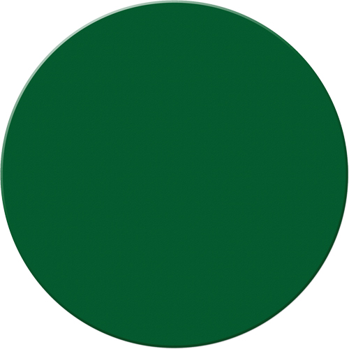 Armor Stripe Lean/5S Markers, Circle, 6" L x 6" W, Green, Plastic Moffatt Supply & Specialties