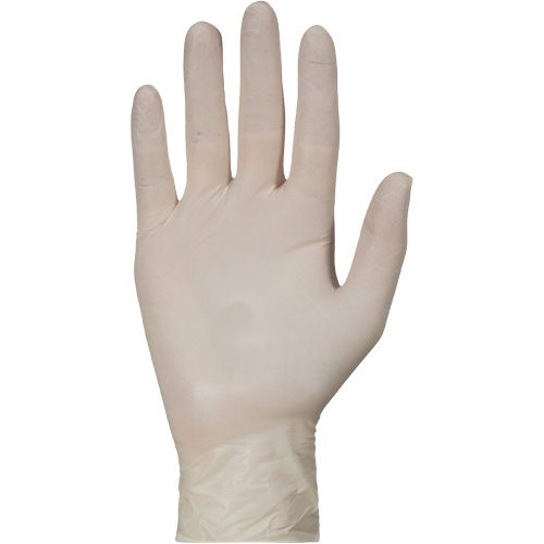 KeepKleen&reg; Disposable Medical Exam Grade Gloves, Large, Latex, 5-mil, Powder-Free, White, Class 2 Moffatt Supply & Specialties