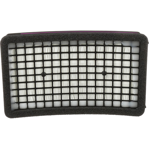 Speedglas HE PAPR Cartridge, P100 Filter, Pack of 1 Moffatt Supply & Specialties