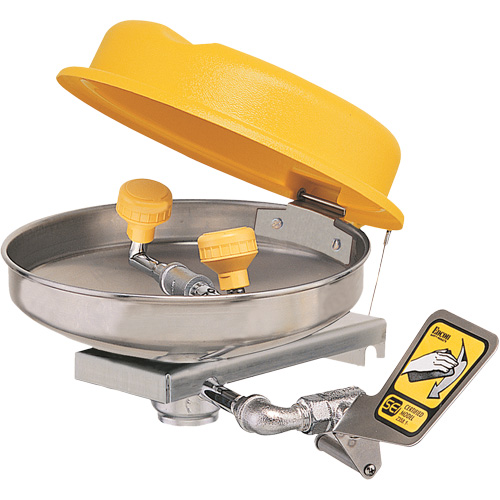Eyewash Station, Wall-Mount Installation, Stainless Steel Bowl Moffatt Supply & Specialties