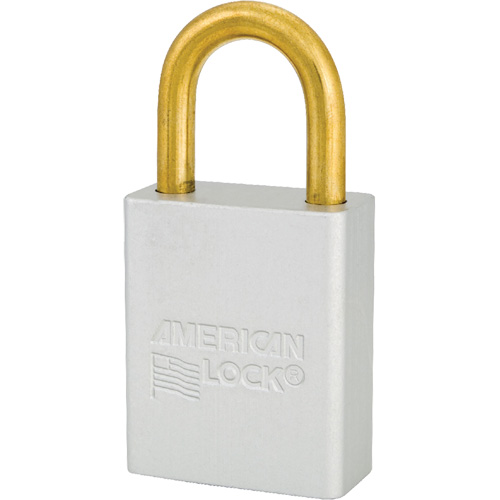 Cadenas de s&eacute;curit&eacute; American Lock, Transparent, Cl&eacute;s identiques, Aluminium, Largeur de 1-1/2" Moffatt Supply & Specialties