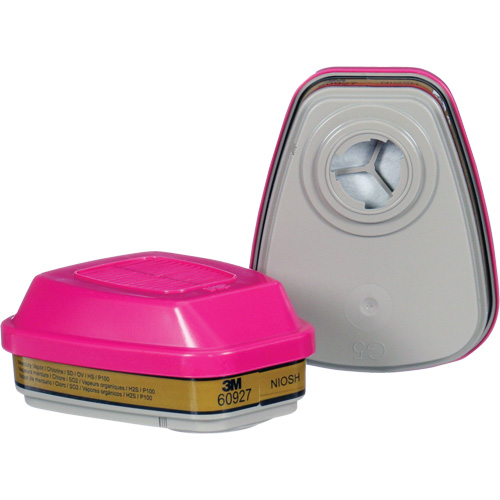 Cartouche, Combinaison cartouche et filtre contre les particules pour gaz/vapeurs, Gaz multiples/Vapeurs/P100 Moffatt Supply & Specialties