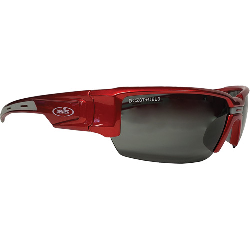 Hartley Safety Glasses, Grey Lens, Polarized, Meets/Exceeds CSA Z94.3 Moffatt Supply & Specialties