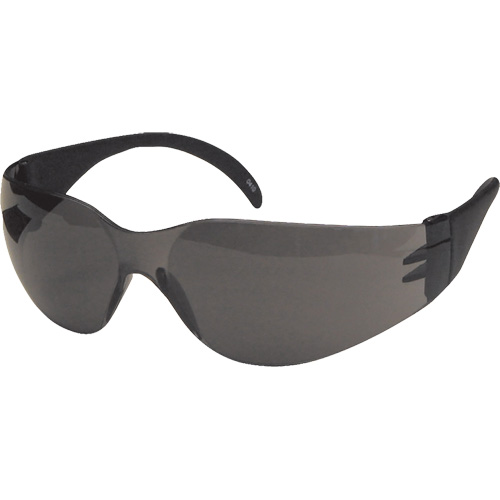 CeeTec Safety Glasses, Grey Lens, Anti-Scratch, Meets/Exceeds CSA Z94.3 Moffatt Supply & Specialties