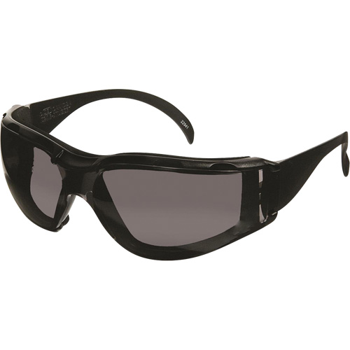 Lunettes de s&eacute;curit&eacute; CeeTec DX, Lentille Gris, Antibu&eacute;e/Anti-&eacute;gratignures, R&eacute;pond ou surpasse la norme CSA Z94.3 Moffatt Supply & Specialties