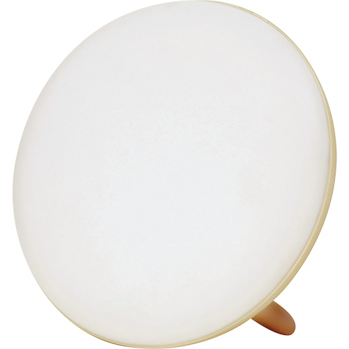 Lampe &agrave; luminoth&eacute;rapie pour le traitement de la d&eacute;pression saisonni&egrave;re Moffatt Supply & Specialties