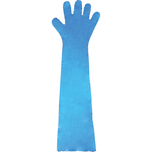 Disposable Gloves, Polyethylene, Powder-Free, Blue Moffatt Supply & Specialties