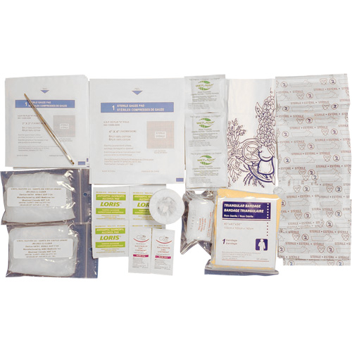 Shield First Aid Kit Refill, Meets CSA Z1220-17 Type 1 Personal, Personal (1 Worker) Moffatt Supply & Specialties
