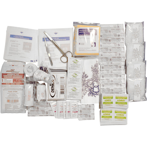 Trousse de premiers soins de base et recharge Shield, R&eacute;pond &agrave; la norme CSA Z1220-17 type 2 environnements &agrave; faible risque, Petit (2-25 travailleurs) Moffatt Supply & Specialties