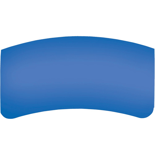 Lentille ext&eacute;rieure Bullard GenVX PETG Moffatt Supply & Specialties