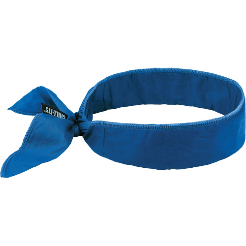 Chill-Its 6702 Cooling Headband with Embedded Polymers & Tie Closure, Blue Moffatt Supply & Specialties